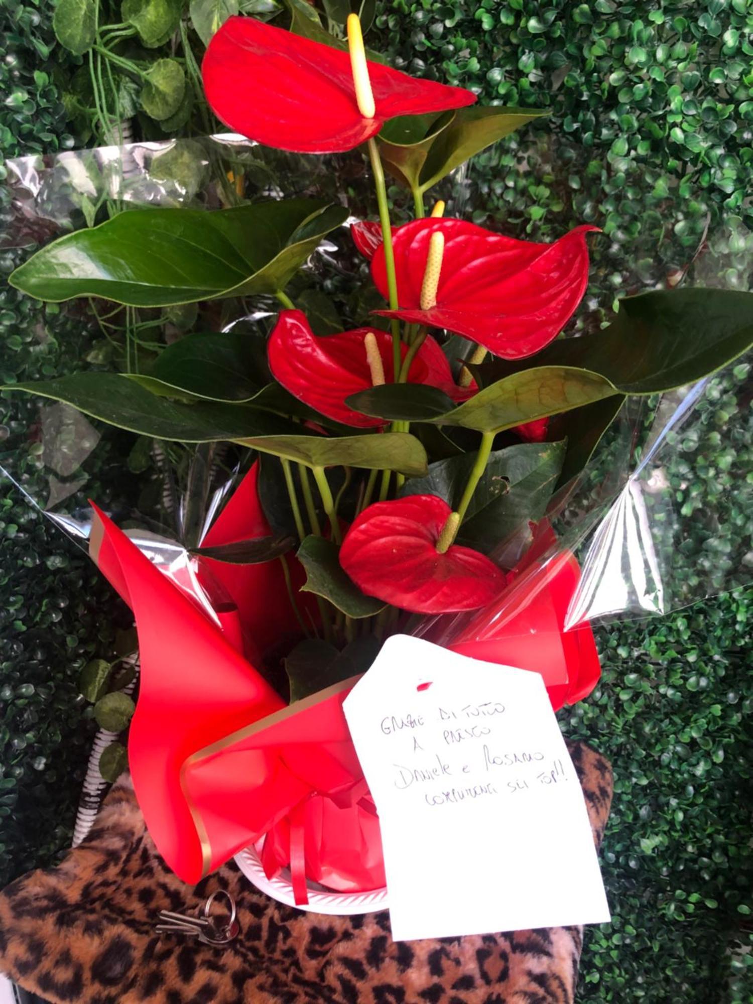 Casa D'Amore Νάπολη Εξωτερικό φωτογραφία